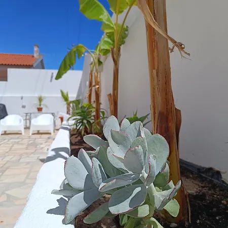 Supertubos House Peniche Frühstückspension